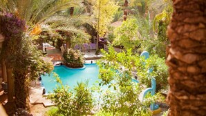 A pool surrounded by lush greenery and palm trees, with a stone wall in the foreground. - Riad Lamane (Zagora)