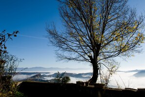 Traditional Apartment, 3 Bedrooms, Garden View, Ground Floor | View from room - Palazzo Contino (Bagnoregio)