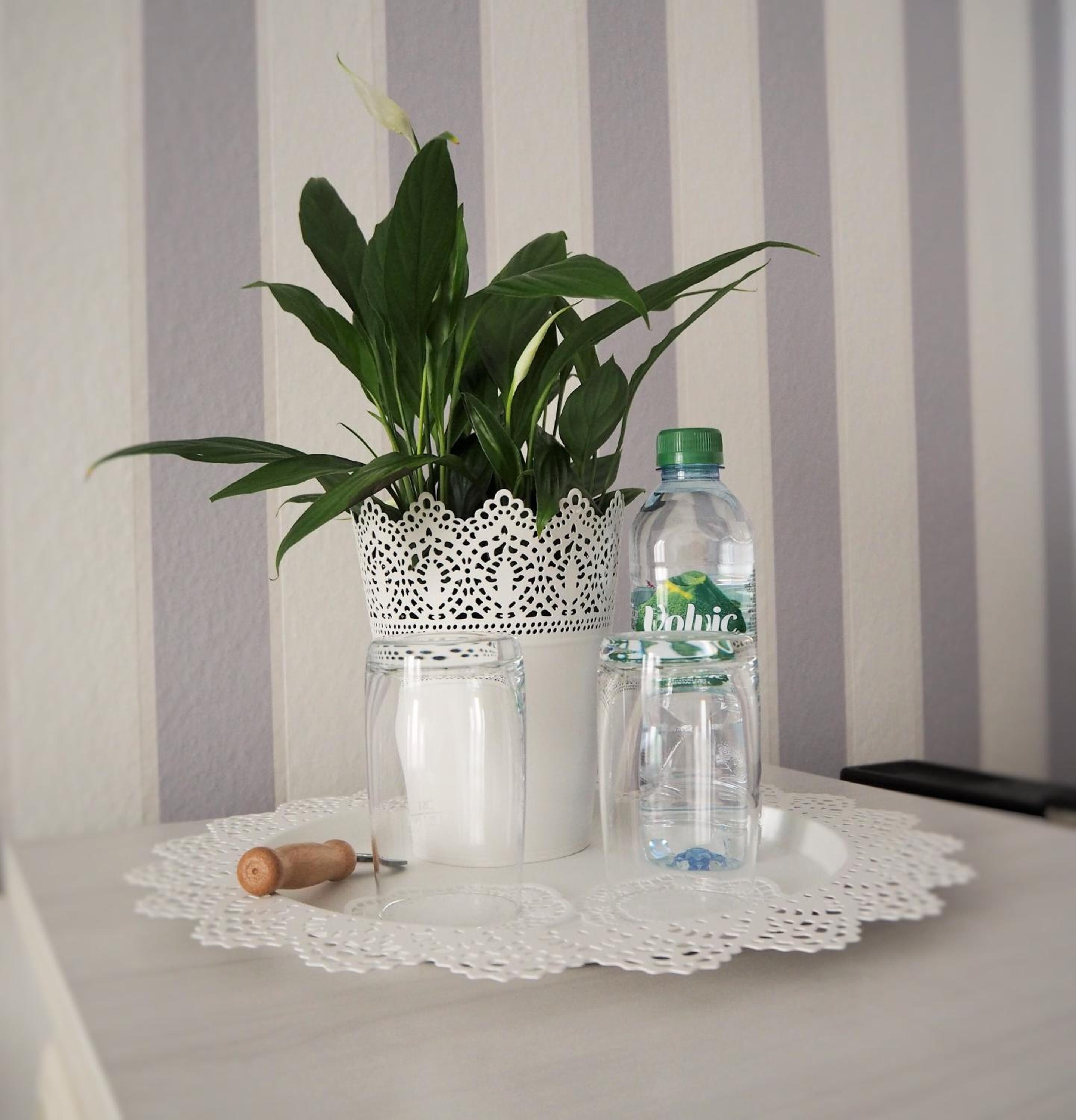 Ein weißer Spitzenkrug mit einer Pflanze und einer Wasserflasche auf einer Unterlage.
