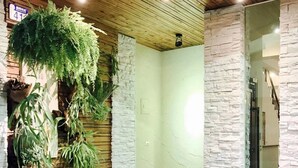 Casa de banho moderna com chuveiro, paredes de pedra e plantas penduradas.