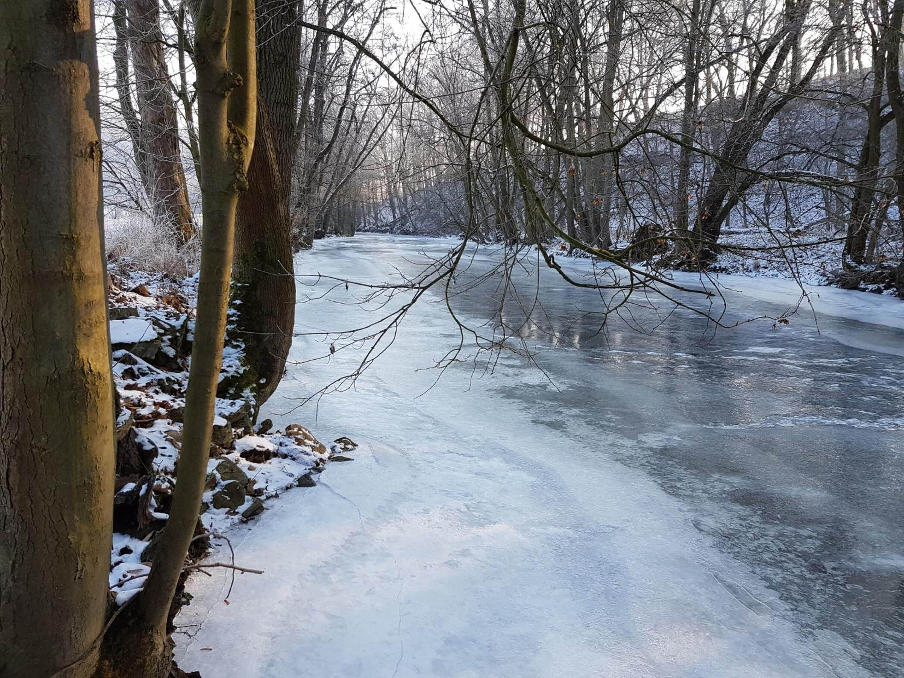A frozen river in a forested area.