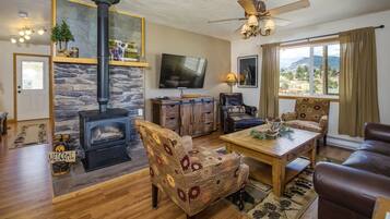 TV connectée, cheminée, lecteur de DVD, livres