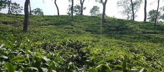 PARADISE LODGE GUEST HOUSE SREEMANGAL