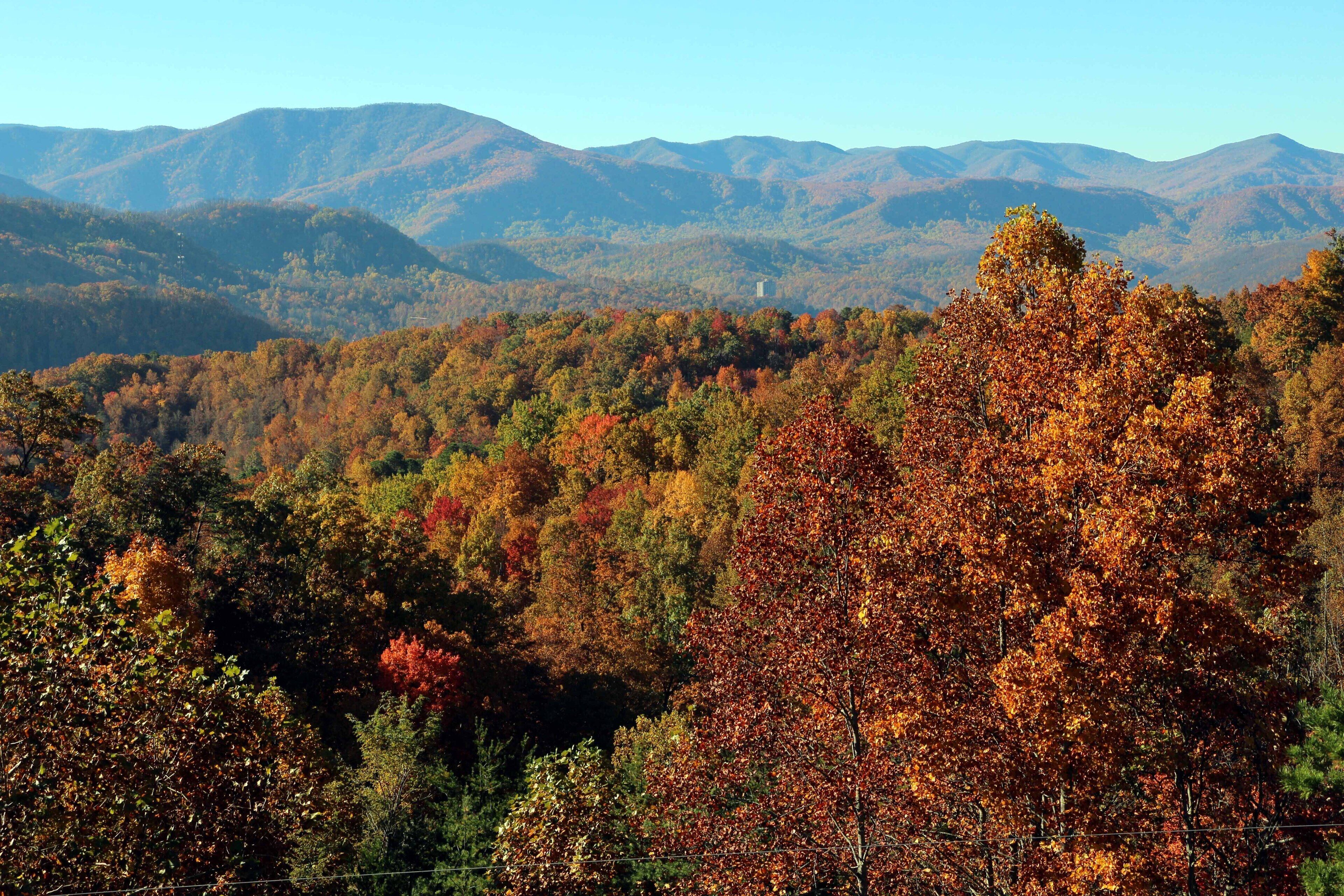 A mountainous landscape with autumn foliage.