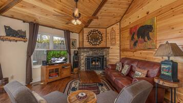 TV, fireplace, DVD player, books