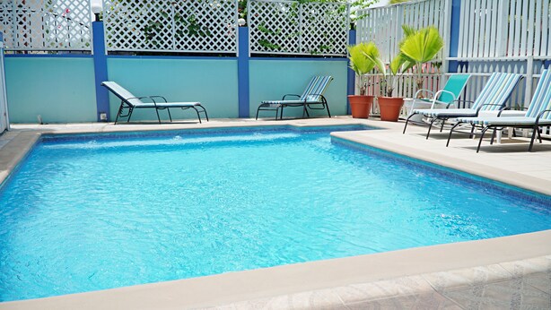 Ein rechteckiger Swimmingpool mit klarem, blauem Wasser, umgeben von Liegestühlen und Topfpflanzen.