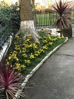 Un jardín ajardinado con flores amarillas, un árbol y una cerca de metal.