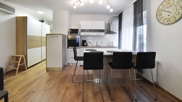 Apartment | Private kitchen - Apartment Boss - Near Archaeological Museum (Zagreb)