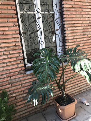 تفاصيل الفندق من الخارج