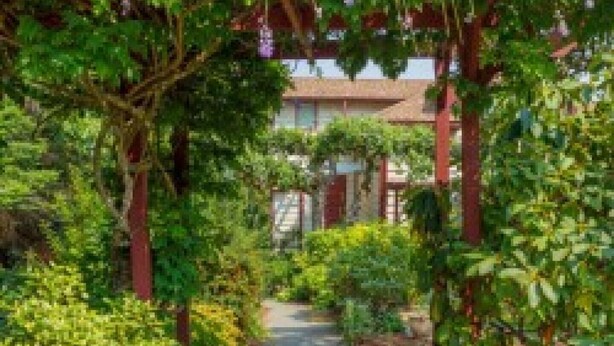 A garden pathway with a pergola structure, surrounded by lush greenery and a building in the background. - Direct Ocean Front Access/private entry I BDRM, full bathroom, all season patio. (Mill Bay)