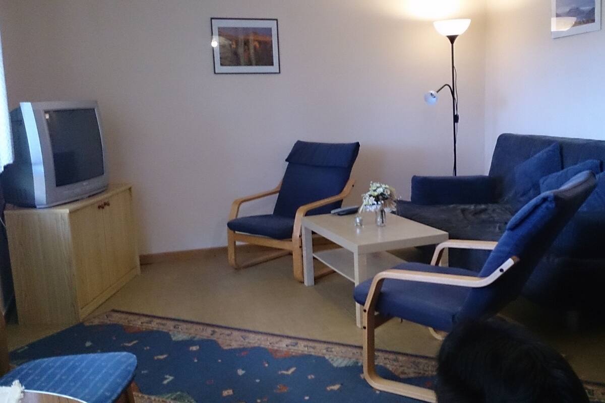 Ein Wohnzimmer mit einer Couch, zwei Sesseln, einem Couchtisch, einem Fernseher auf einem Schrank, einer Stehlampe und einem Teppich.