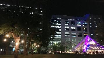 City view from property