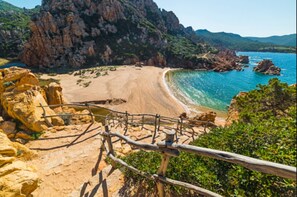Playa en los alrededores y camastros
