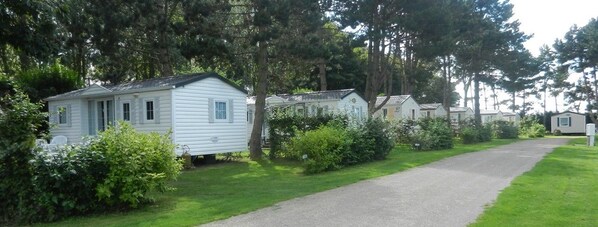 A row of mobile homes with a paved driveway and surrounding greenery.