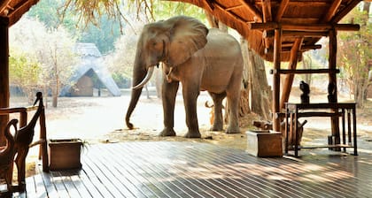 Mana Pools Safari Lodge