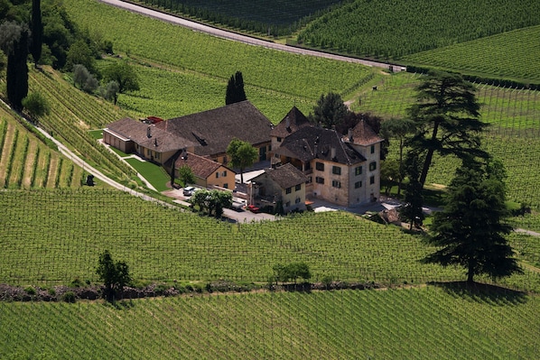 Un vaste domaine comprenant plusieurs b âtiments, entouré de vastes vignobles.
