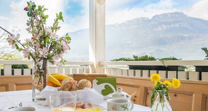 Luxueux appartement "Villa Sonnenschein" avec terrasse, vue imprenable et jardin