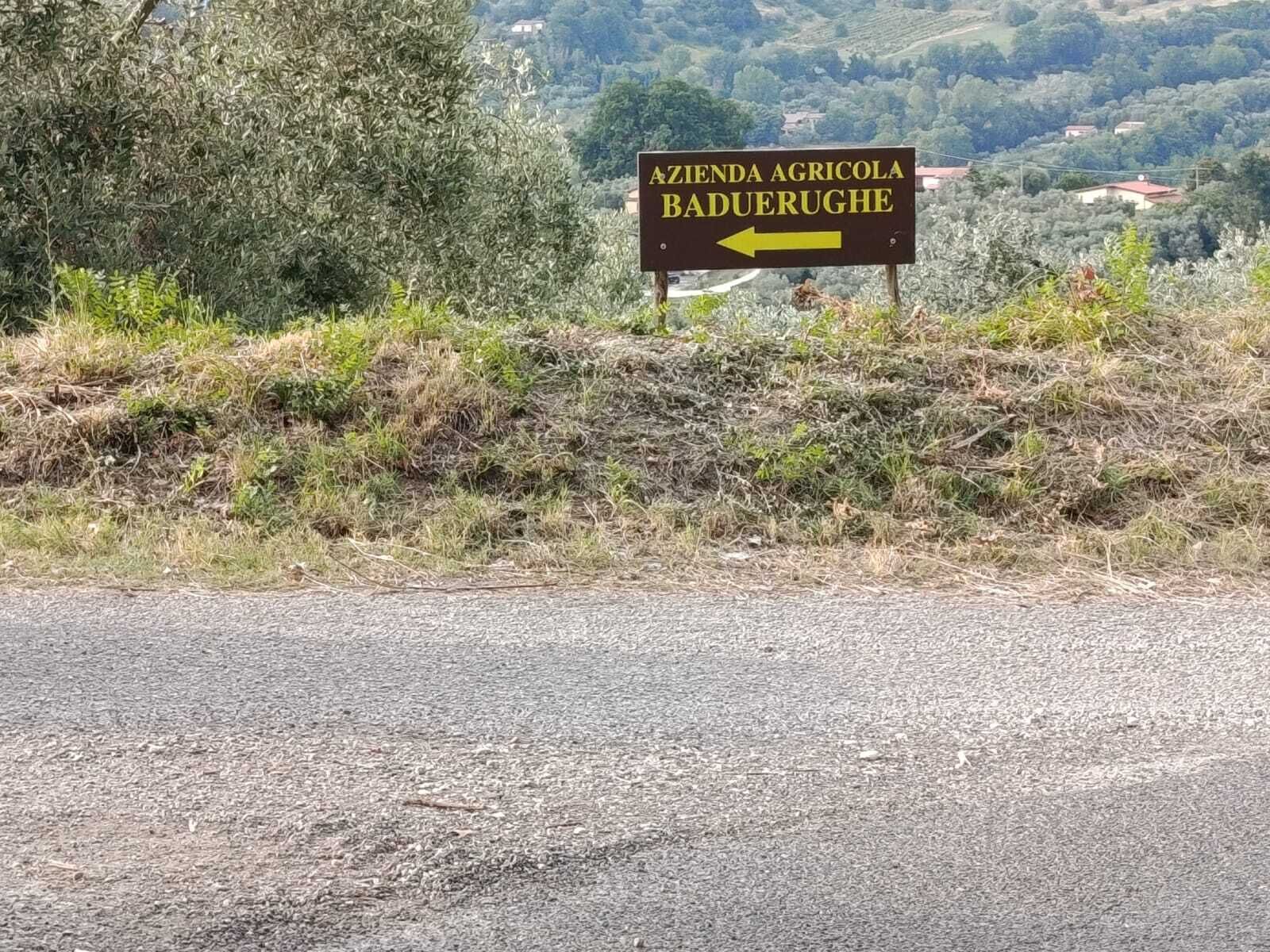 Photo - Baduerughe