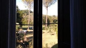 A window with a view of trees and a clear sky. - Baduerughe (Poggio Mirteto)