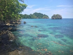 Scuba diving, snorkelling, surfing, fishing