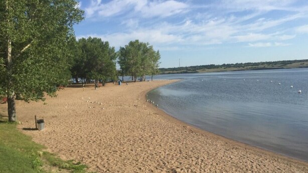 Ein sandiger Strand mit Bäumen und ruhigem Gewässer.
