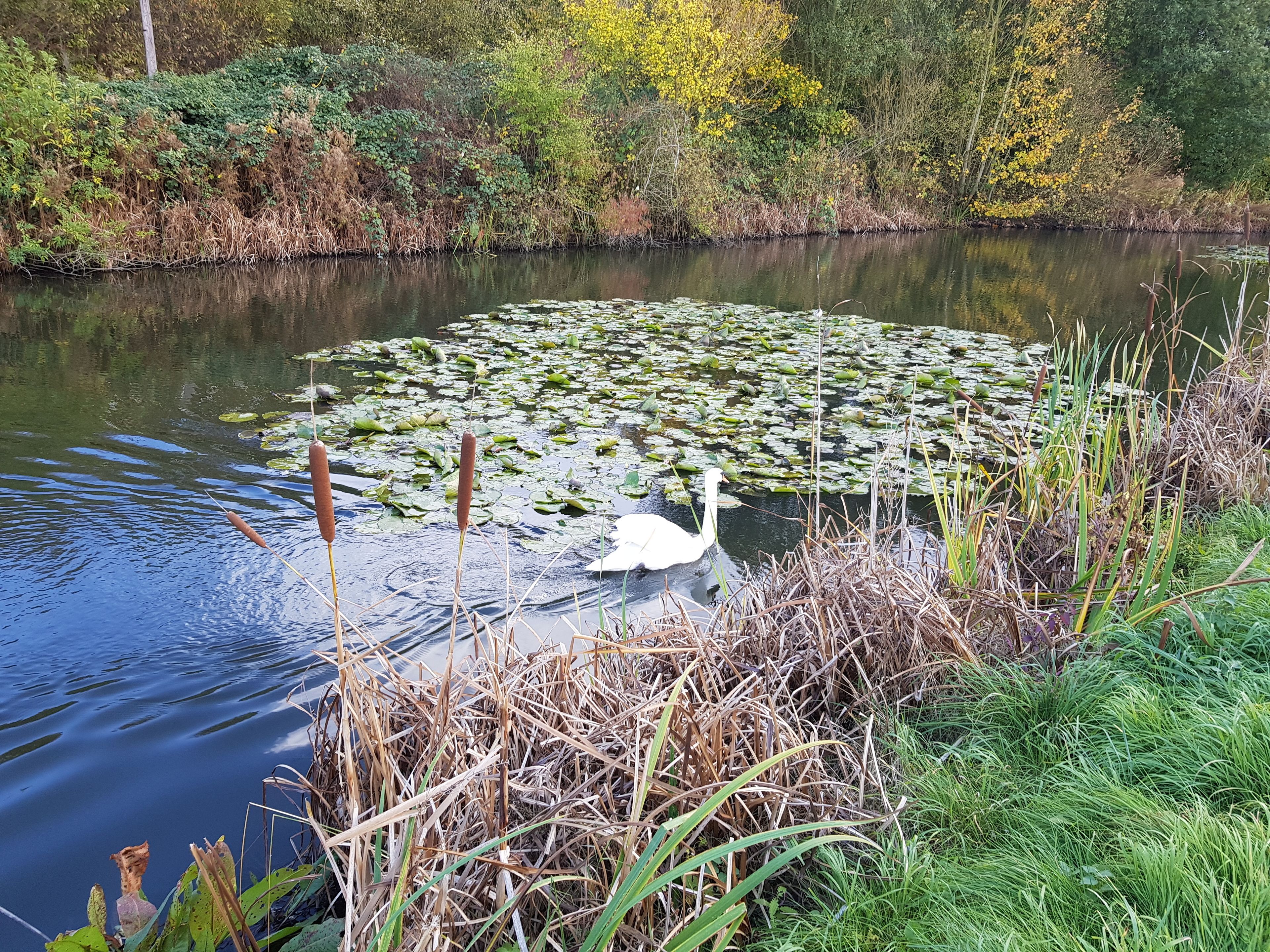 Foto - Chatterley House