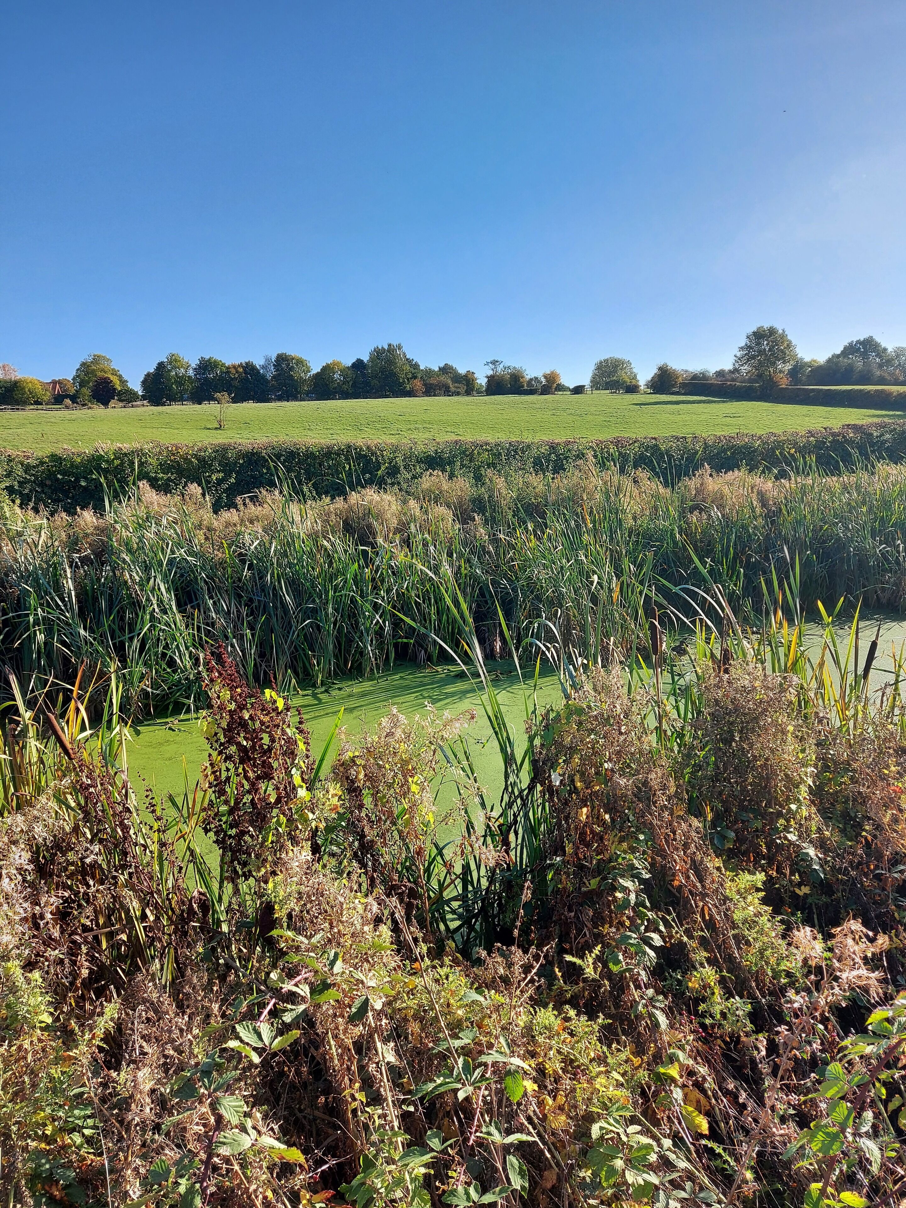 Foto - Chatterley House