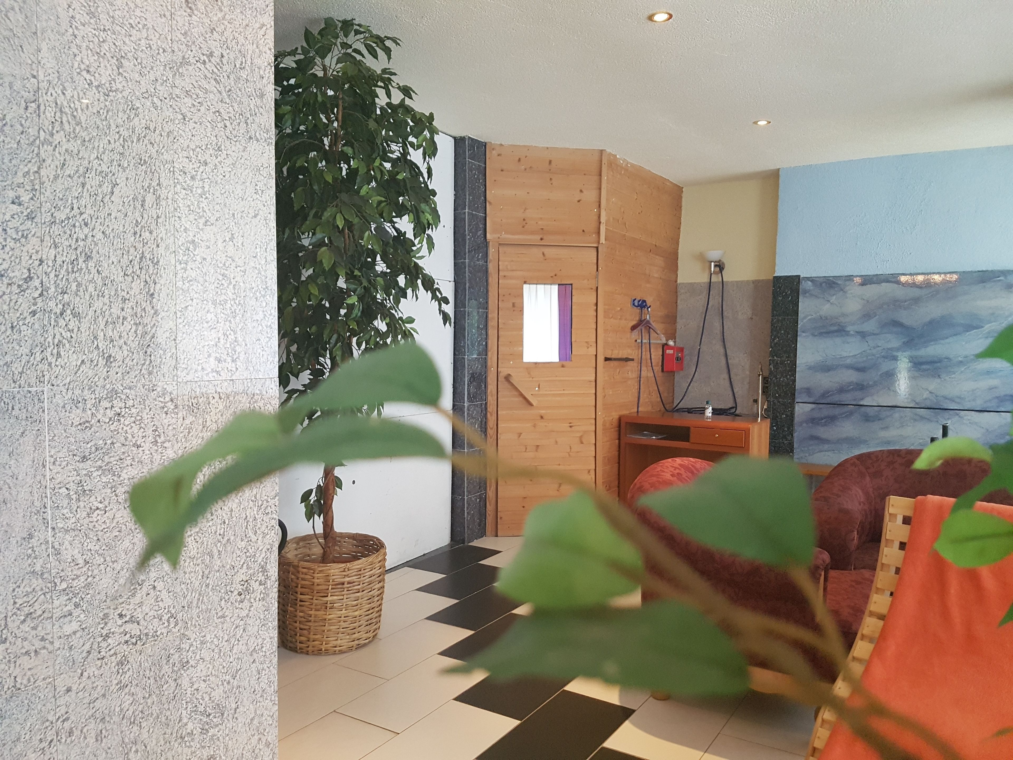 A room with a checkered floor, a large potted plant, a wooden cabinet, and a painting on the wall.