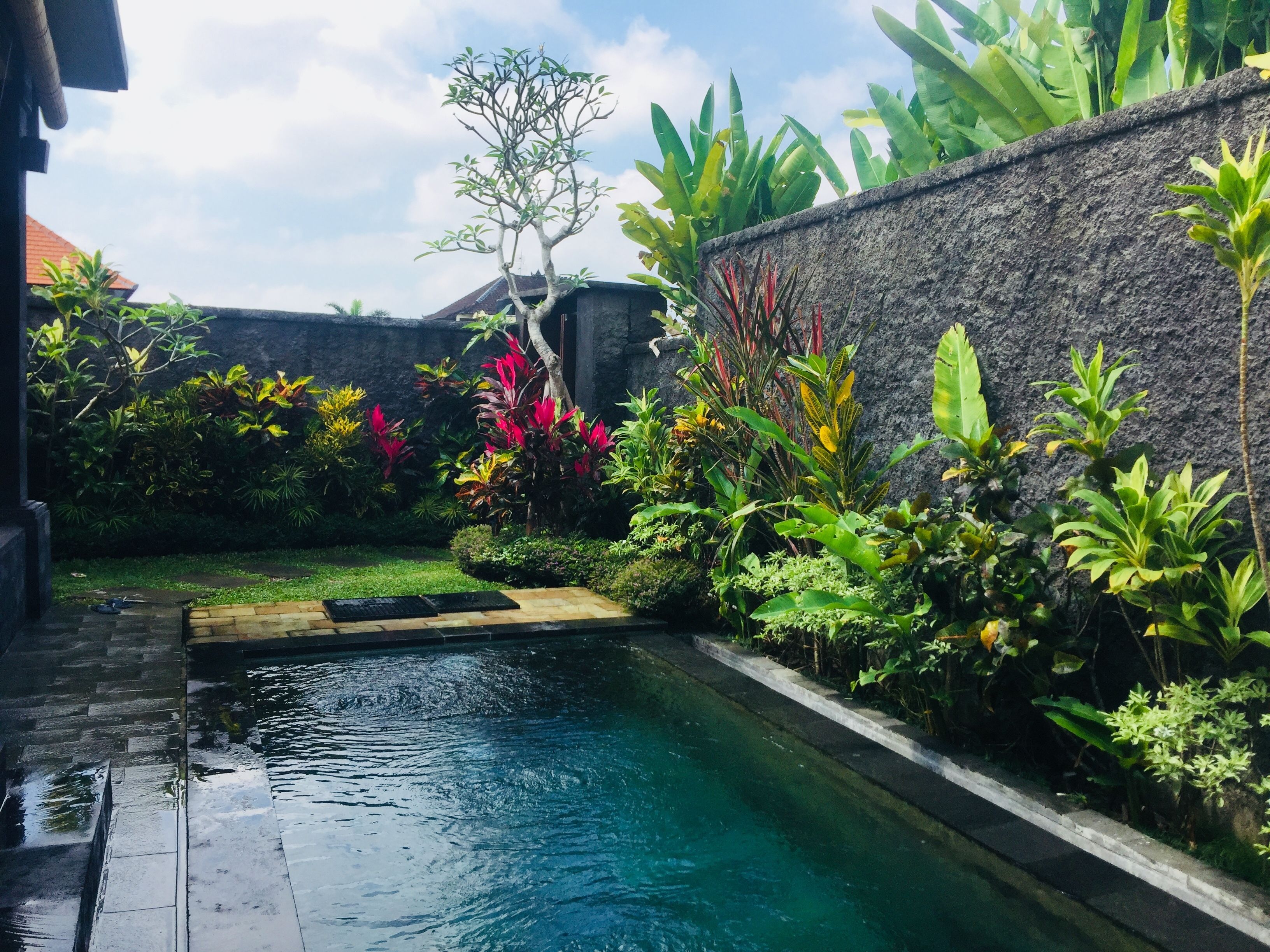 A serene pool area with a stone wall and lush tropical plants.