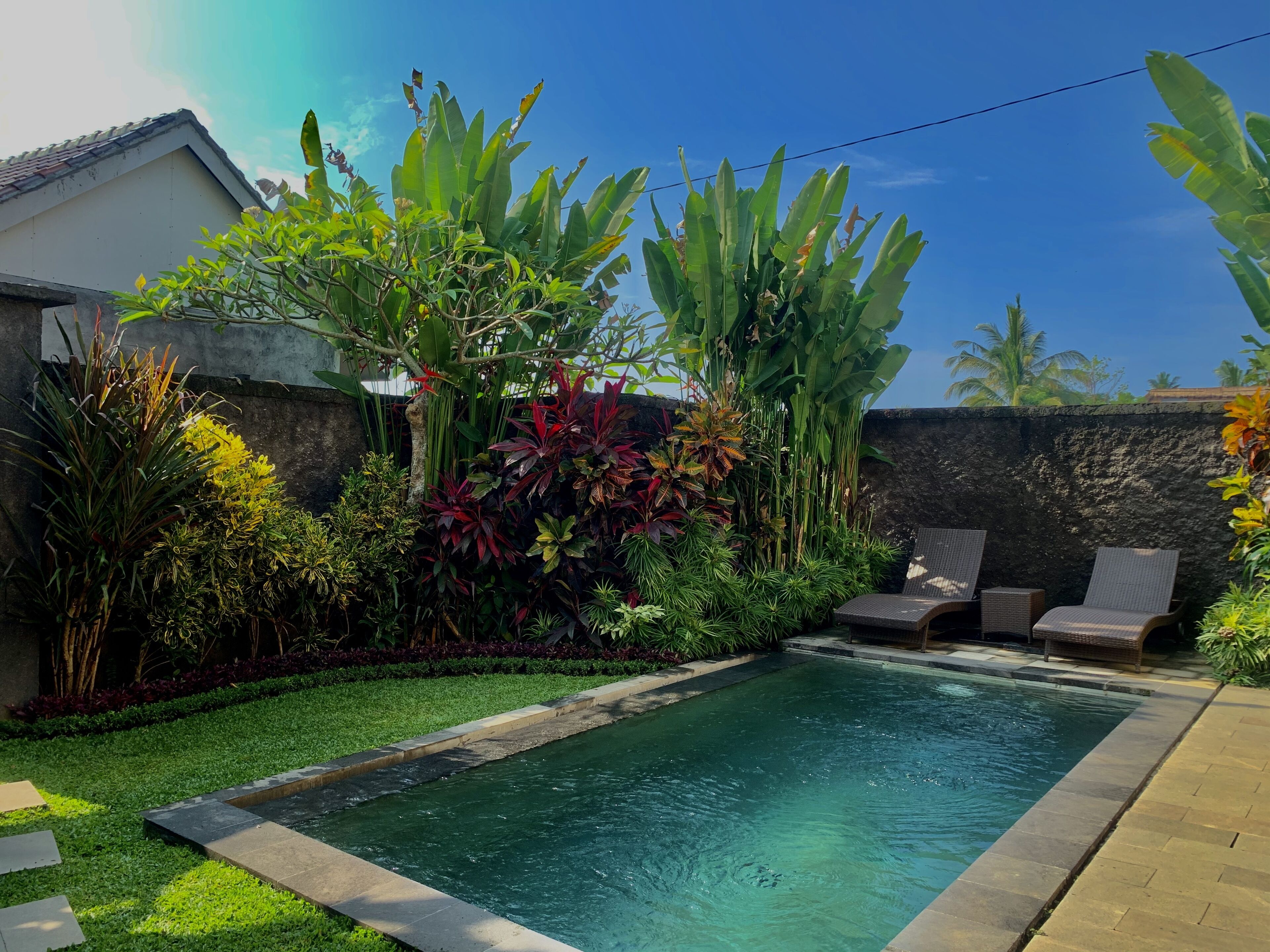 Kolam renang