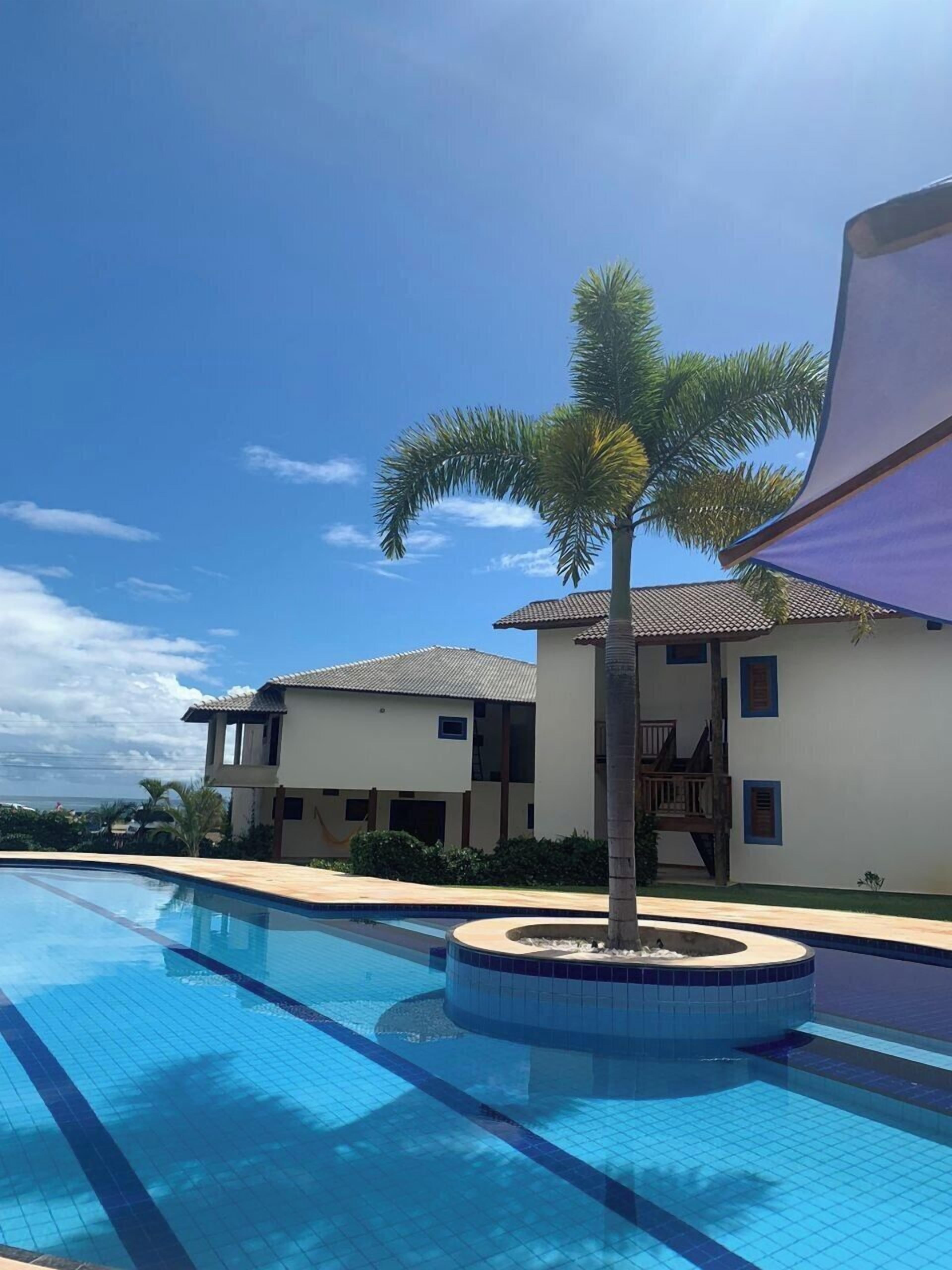 A swimming pool with tiled edges, a palm tree, and a building with a tiled roof and white walls.