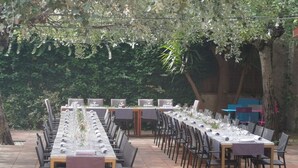 A long dining table set outdoors with chairs, surrounded by greenery and trees.