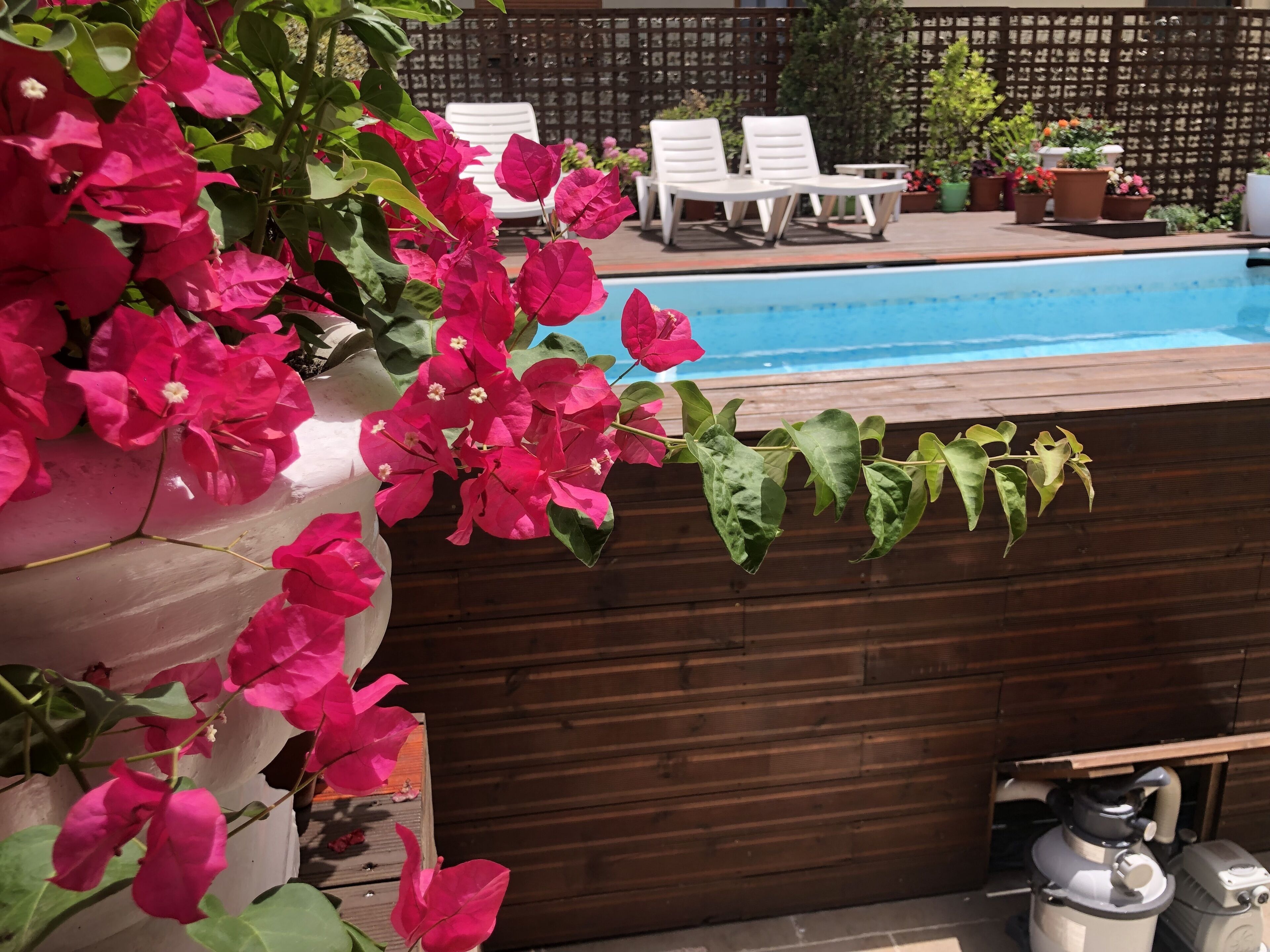 Foto - Sunrise Hotel Cameria