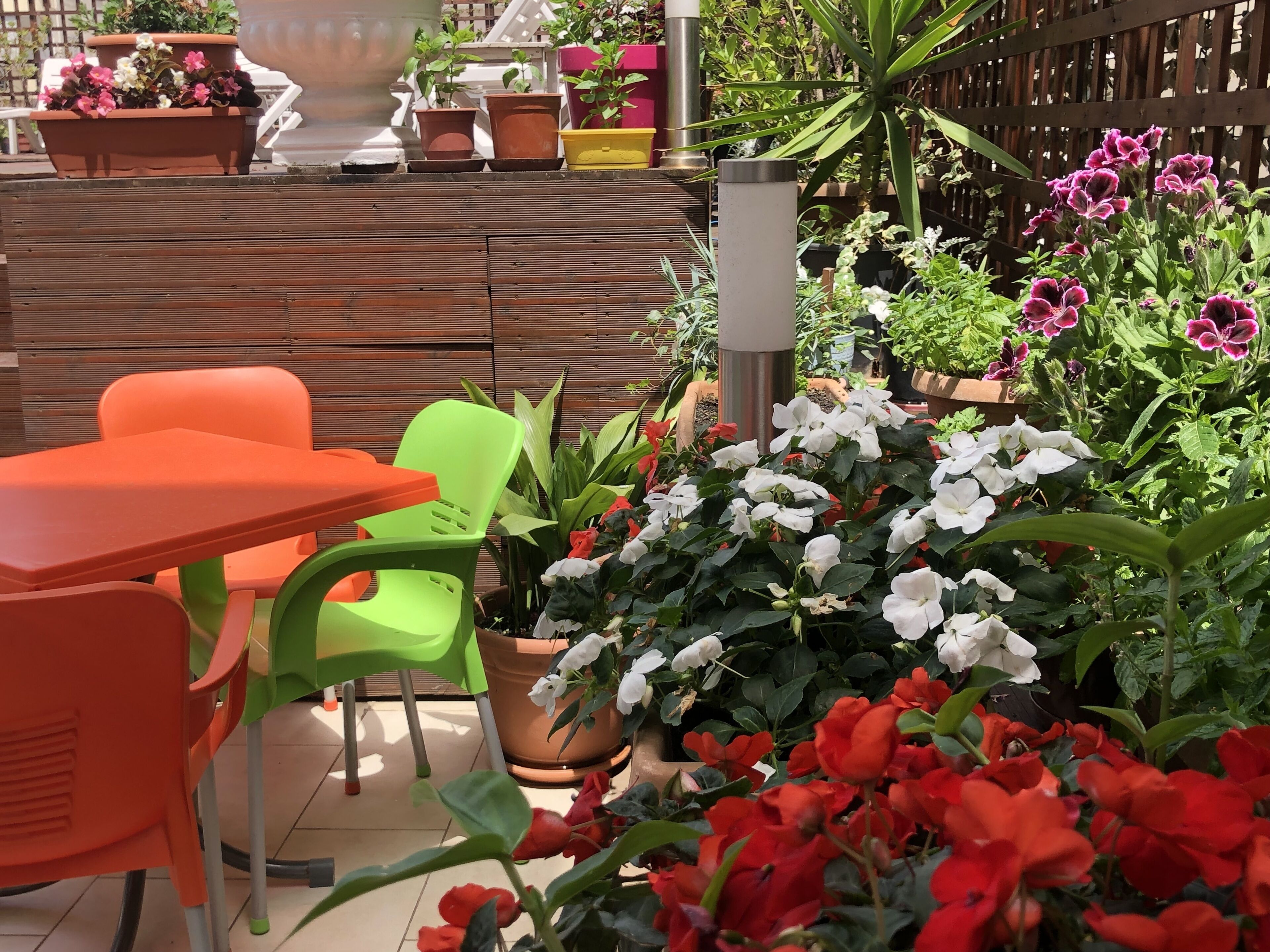 An outdoor seating area with orange and green plastic chairs and a table, surrounded by potted plants and flowers.