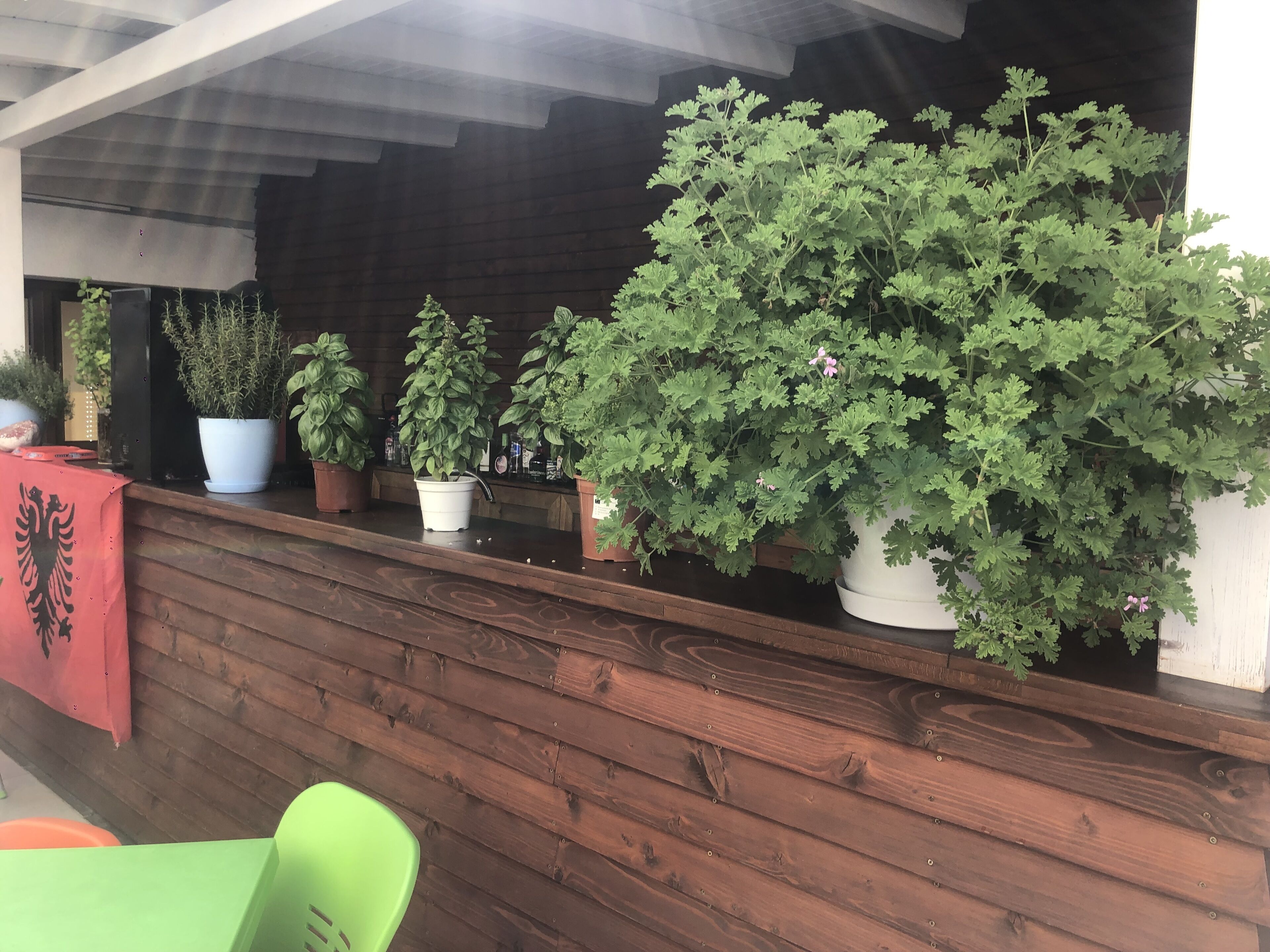 Photo - Sunrise Hotel Cameria