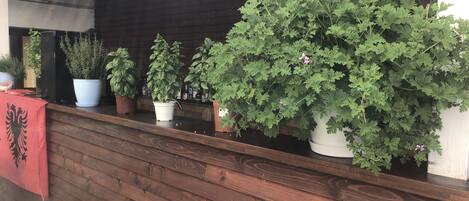Un espace avec des bancs en bois, agrémenté de plantes en pot et d’une table recouverte d’une nappe rouge.