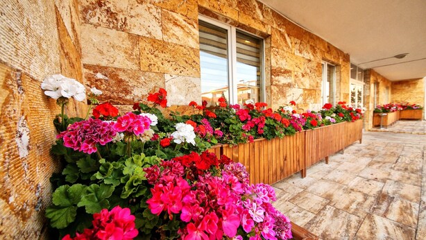 A row of flower boxes with various flowers against a stone wall. - Safran Germia Palas (Karabük)