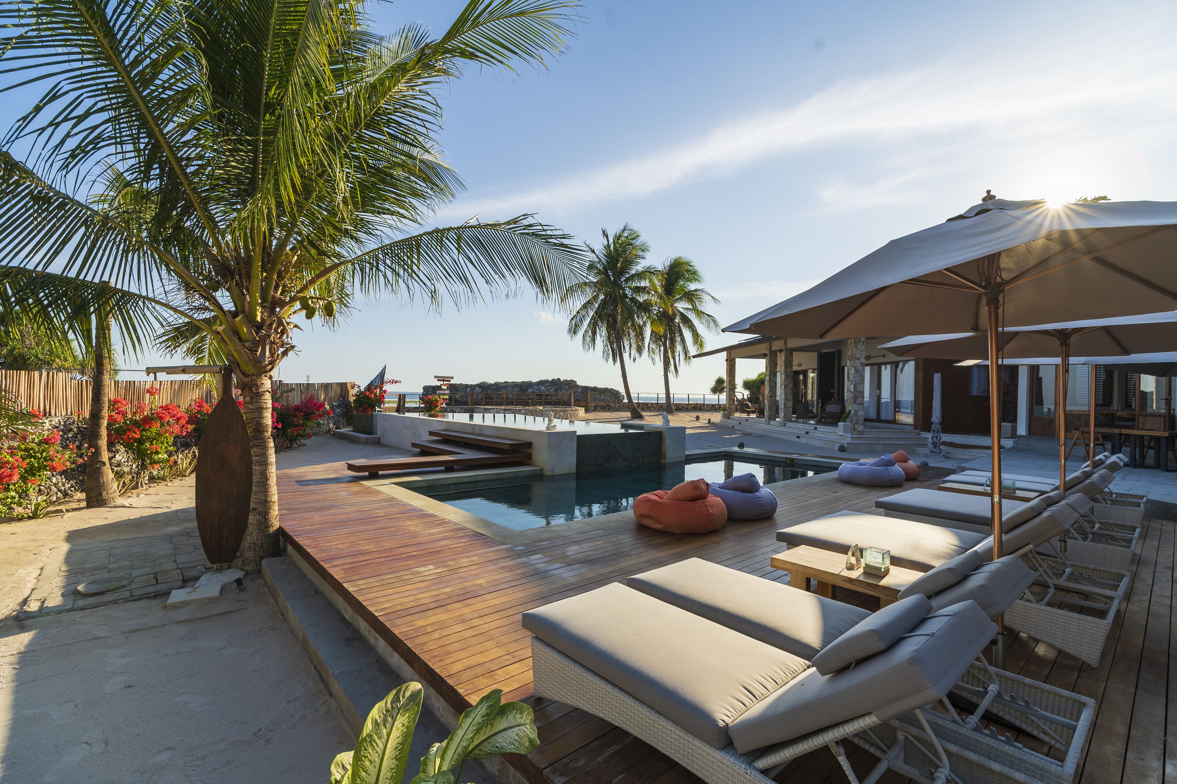 A poolside area with lounge chairs, a wooden deck, and a palm tree.