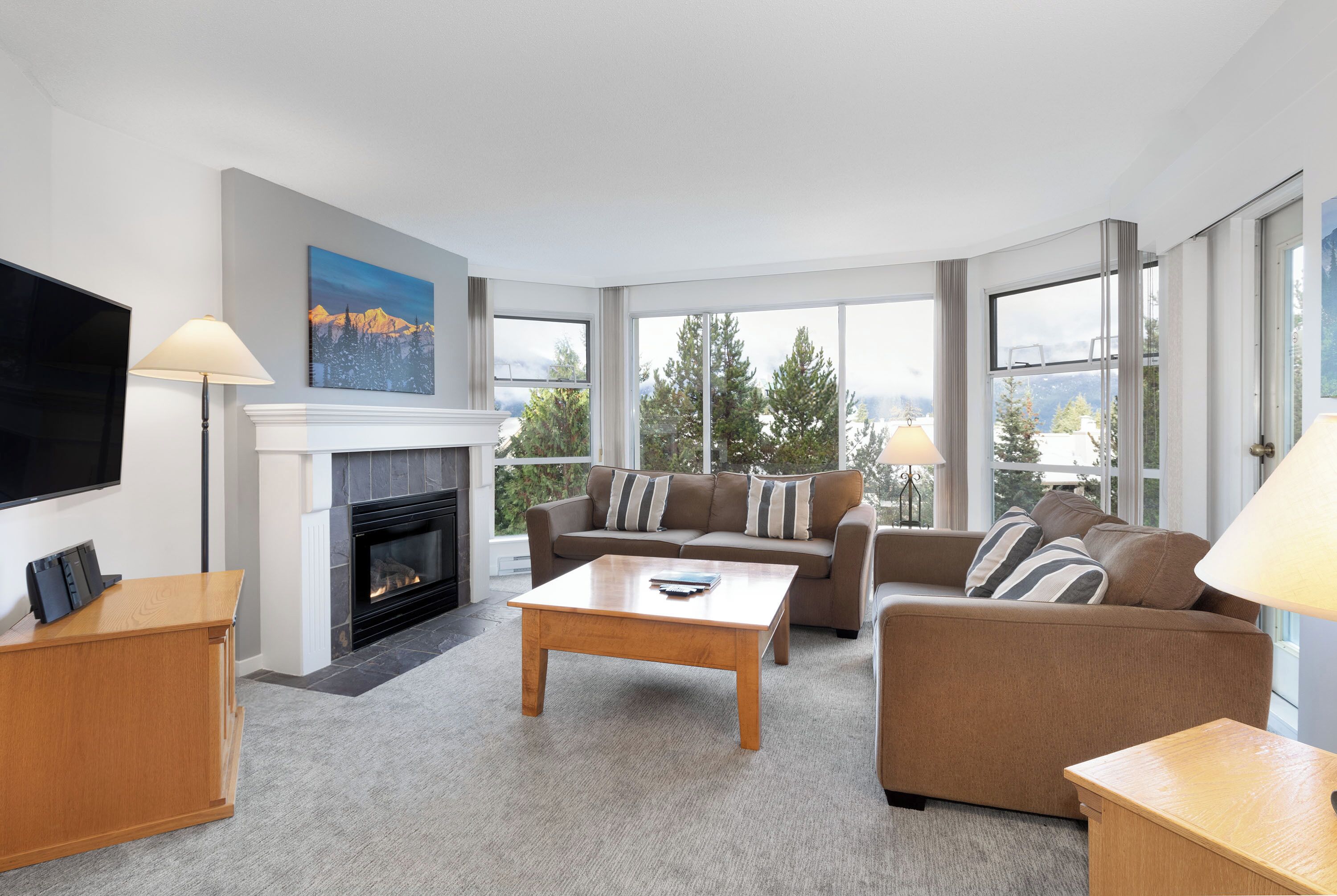 TV, fireplace, DVD player