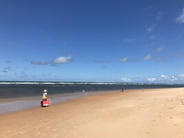 En la playa, arena blanca, sombrillas, toallas de playa