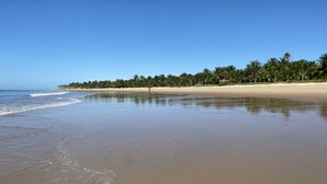 Una playa con cielo despejado, agua tranquila y una hilera de palmeras a lo lejos.