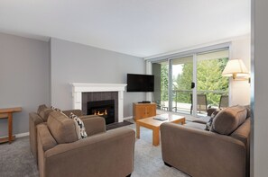 TV, fireplace, DVD player