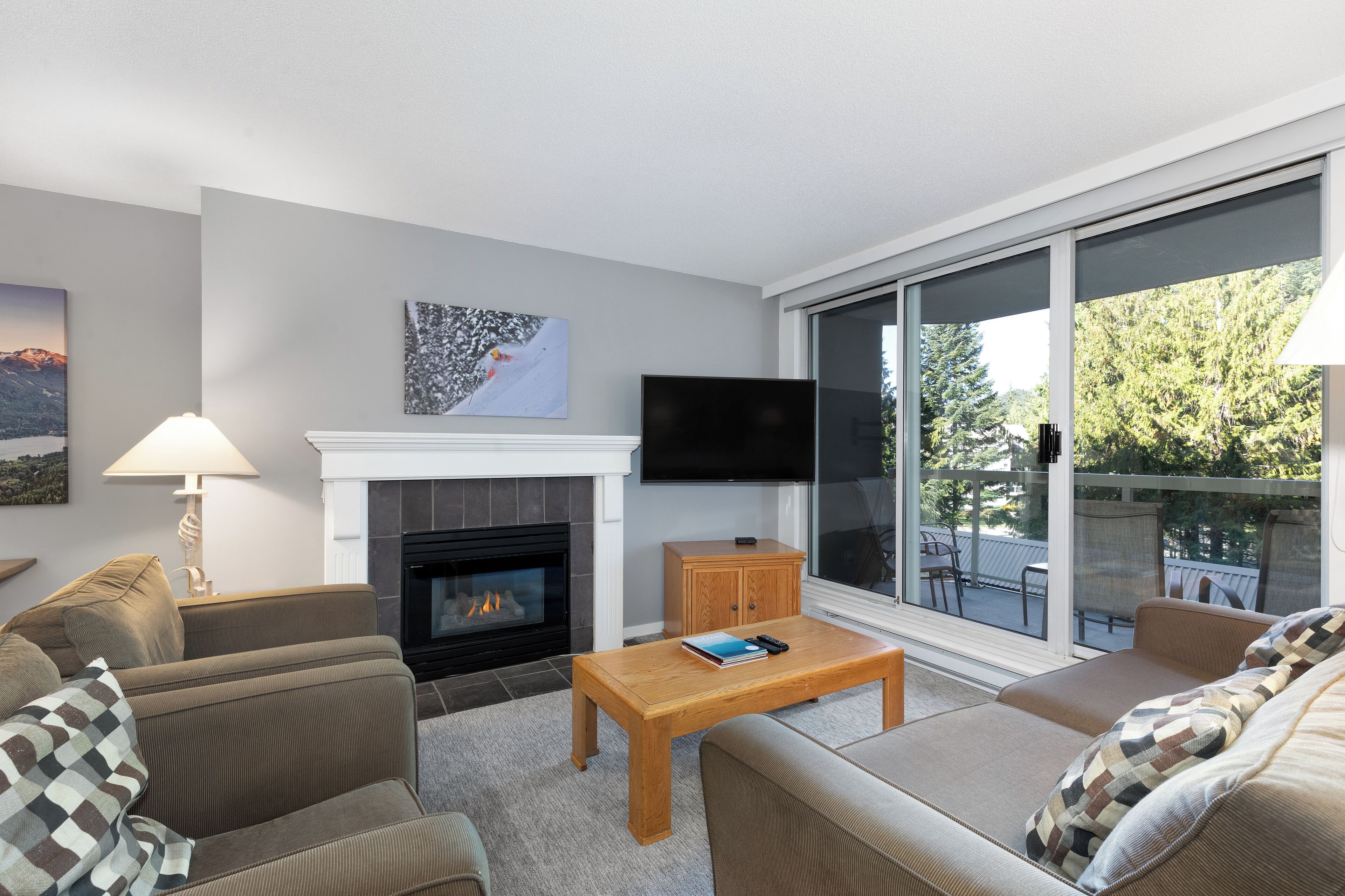 Televisión, chimenea, reproductor de DVD