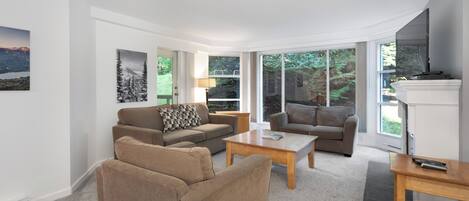 テレビ、暖炉、DVD プレーヤー