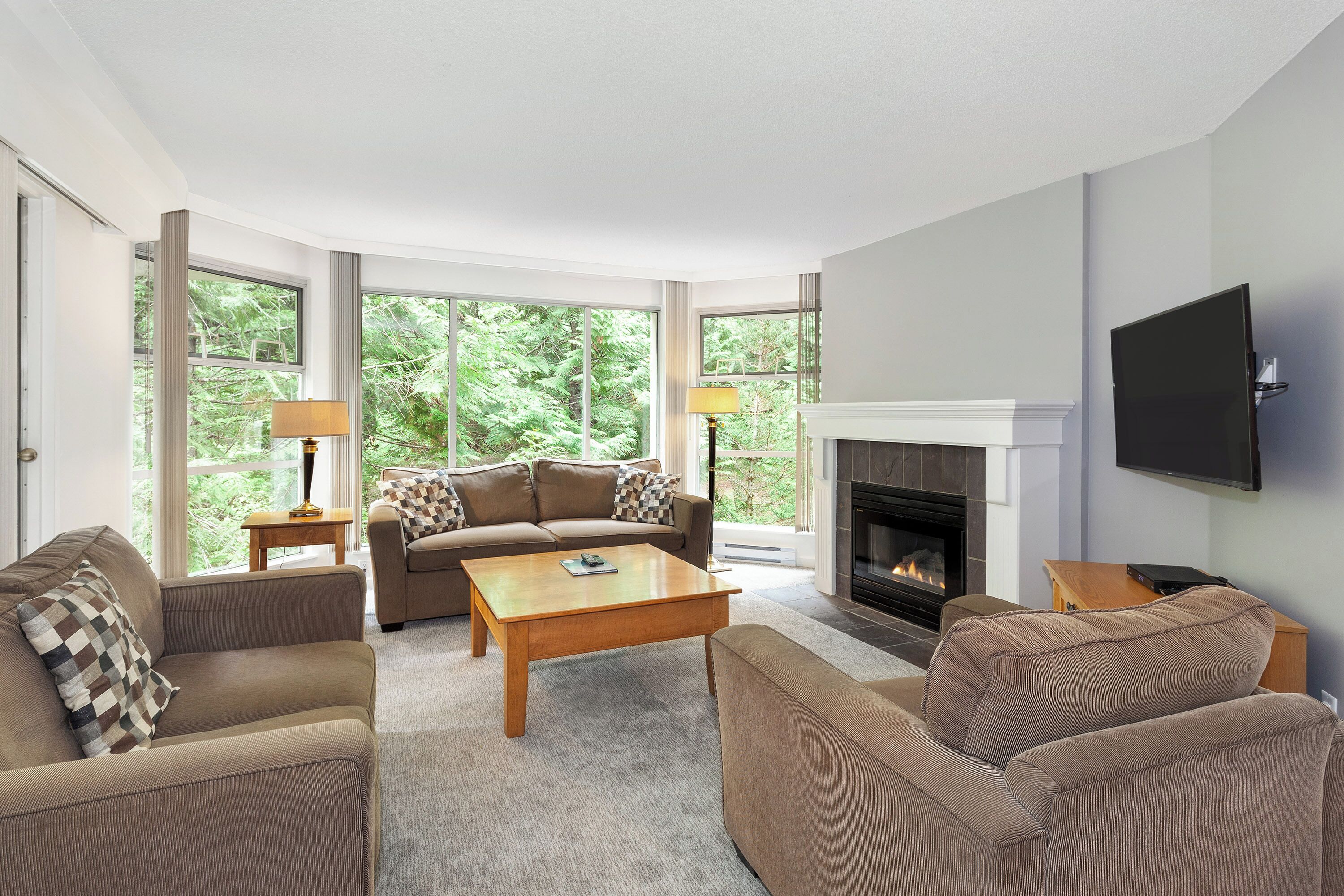 TV, fireplace, DVD player