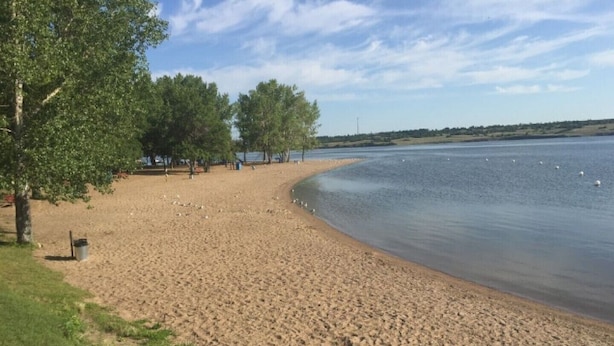 Une plage de sable avec des arbres et une étendue d’eau calme.