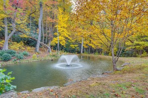 Terrain de l’hébergement 