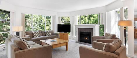 テレビ、暖炉、DVD プレーヤー