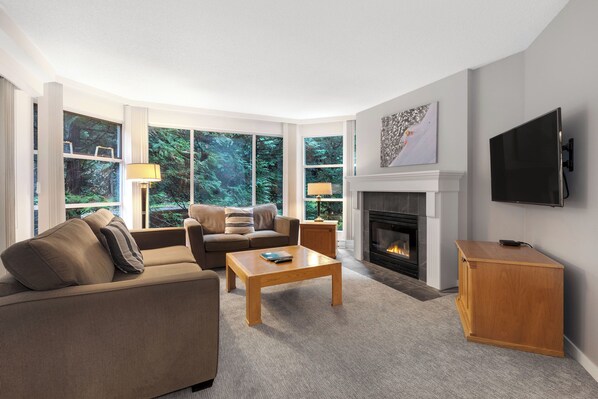 TV, fireplace, DVD player