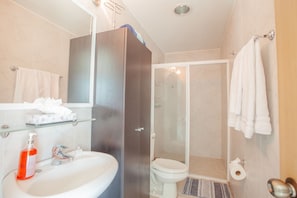 Hair dryer, towels
